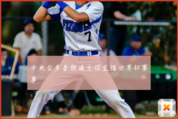 中央台多套频道全程直播世界杯赛事